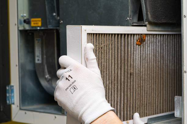 Best Air Duct Cleaning Company Near Me  in Knollwood, IL